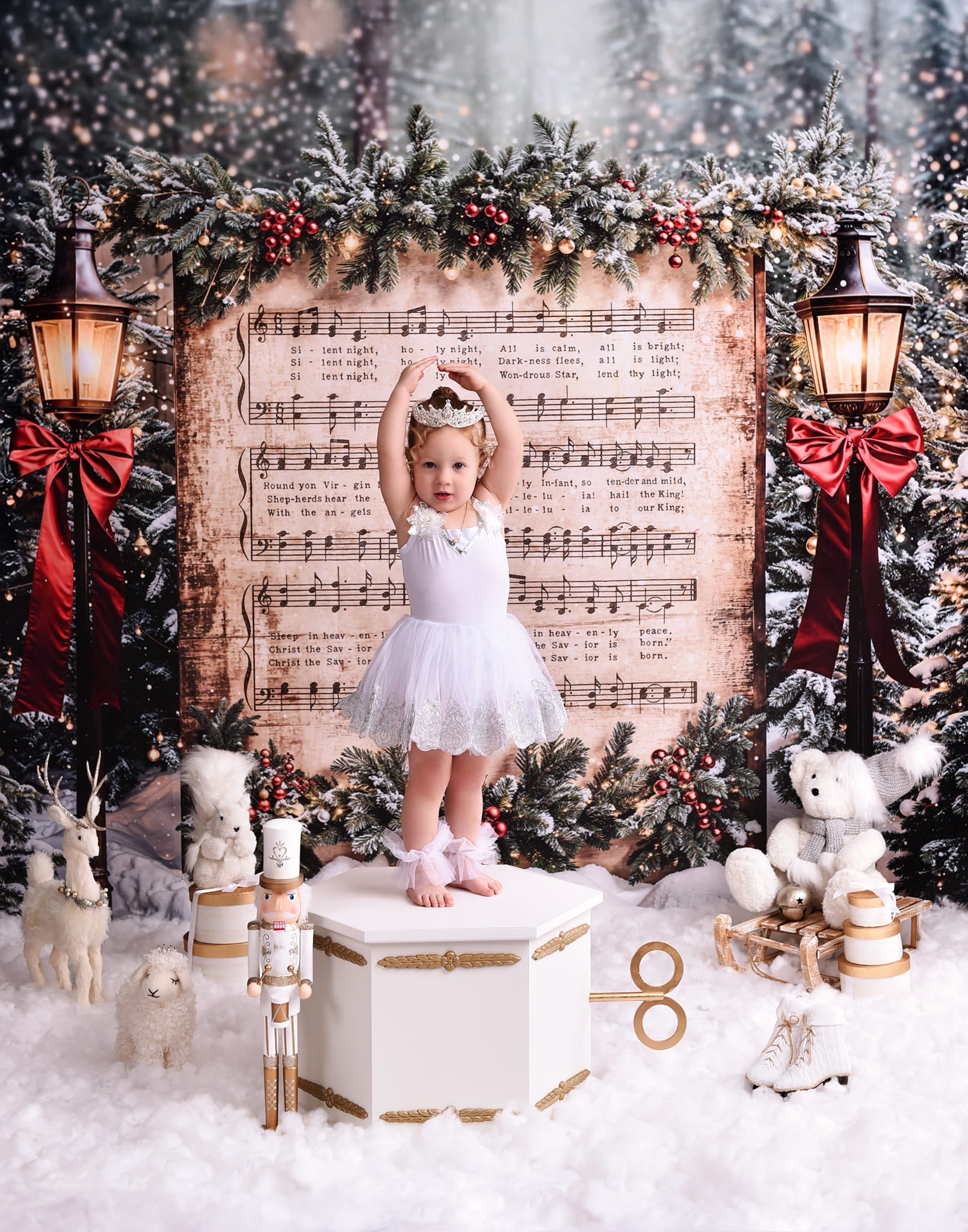 Joy To The World-Fotohintergrund Verschneite Weihnachtslieder Musik Weihnachts-Fotohintergrund MRR9-24
