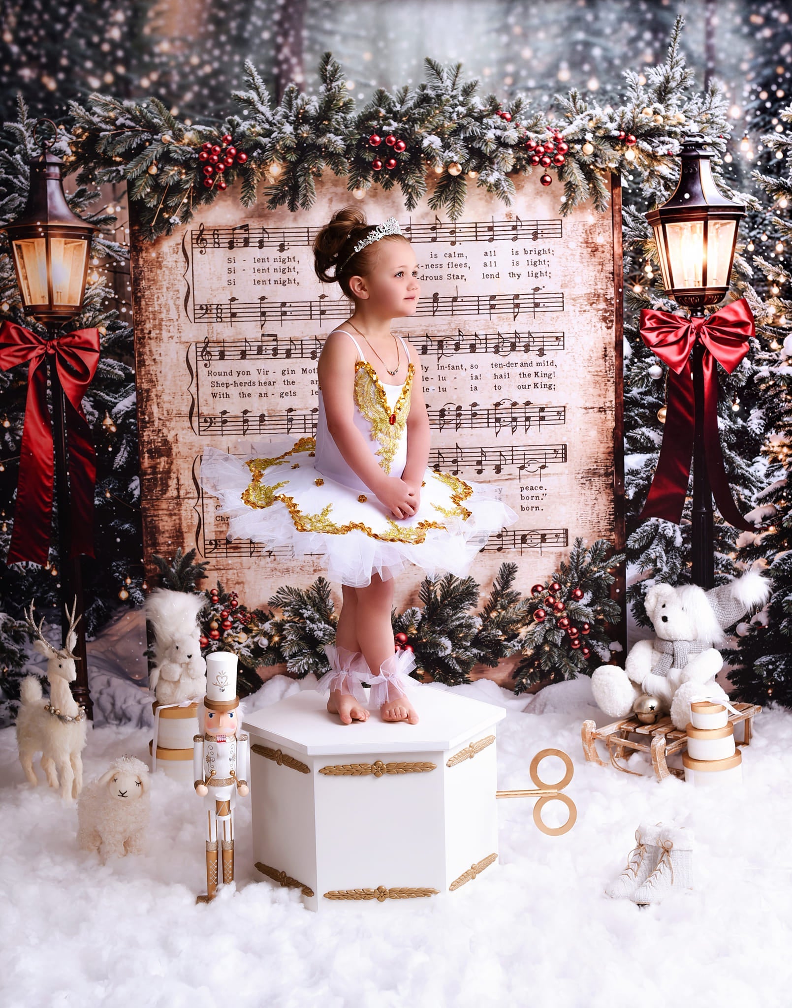 Joy To The World-Fotohintergrund Verschneite Weihnachtslieder Musik Weihnachts-Fotohintergrund MRR9-24