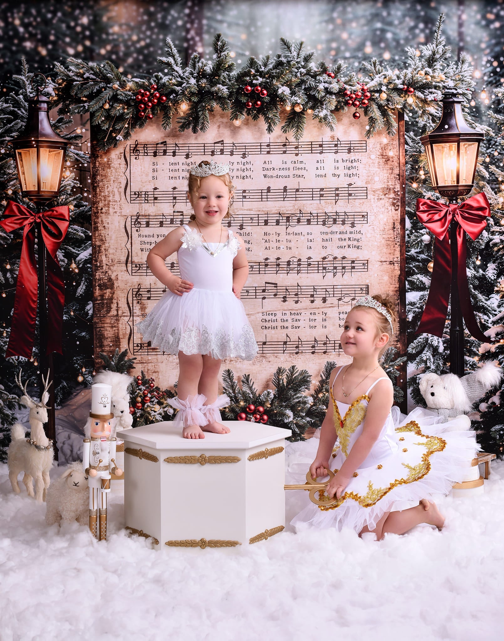 Joy To The World-Fotohintergrund Verschneite Weihnachtslieder Musik Weihnachts-Fotohintergrund MRR9-24