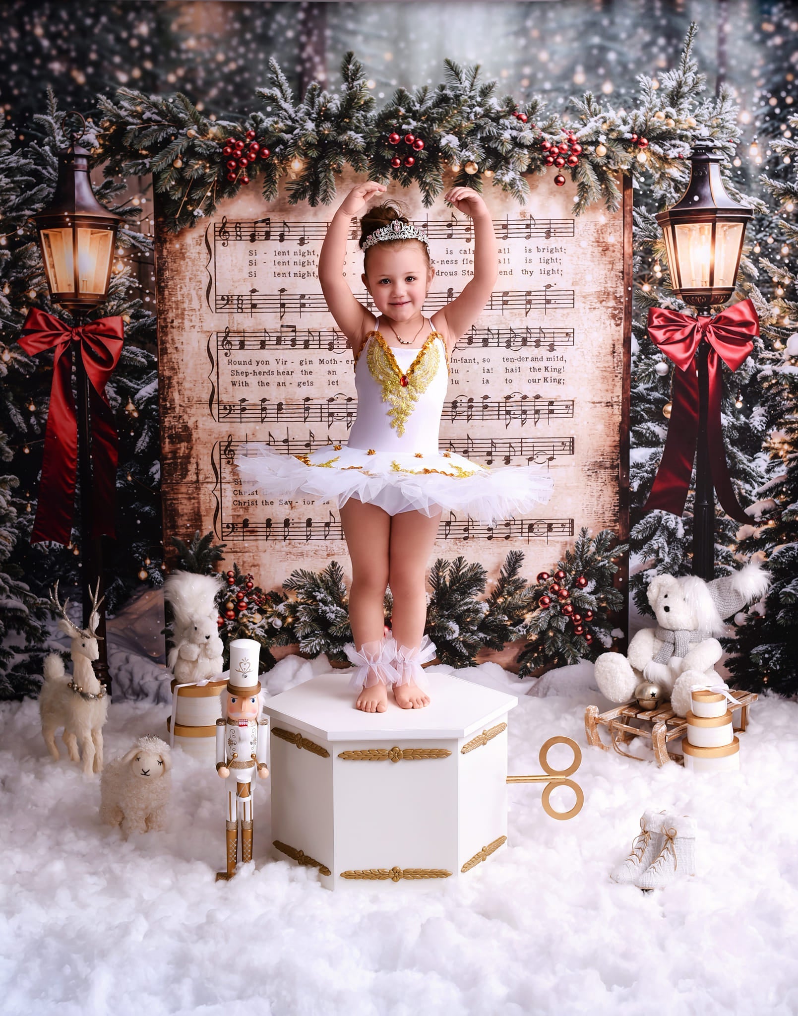 Joy To The World-Fotohintergrund Verschneite Weihnachtslieder Musik Weihnachts-Fotohintergrund MRR9-24