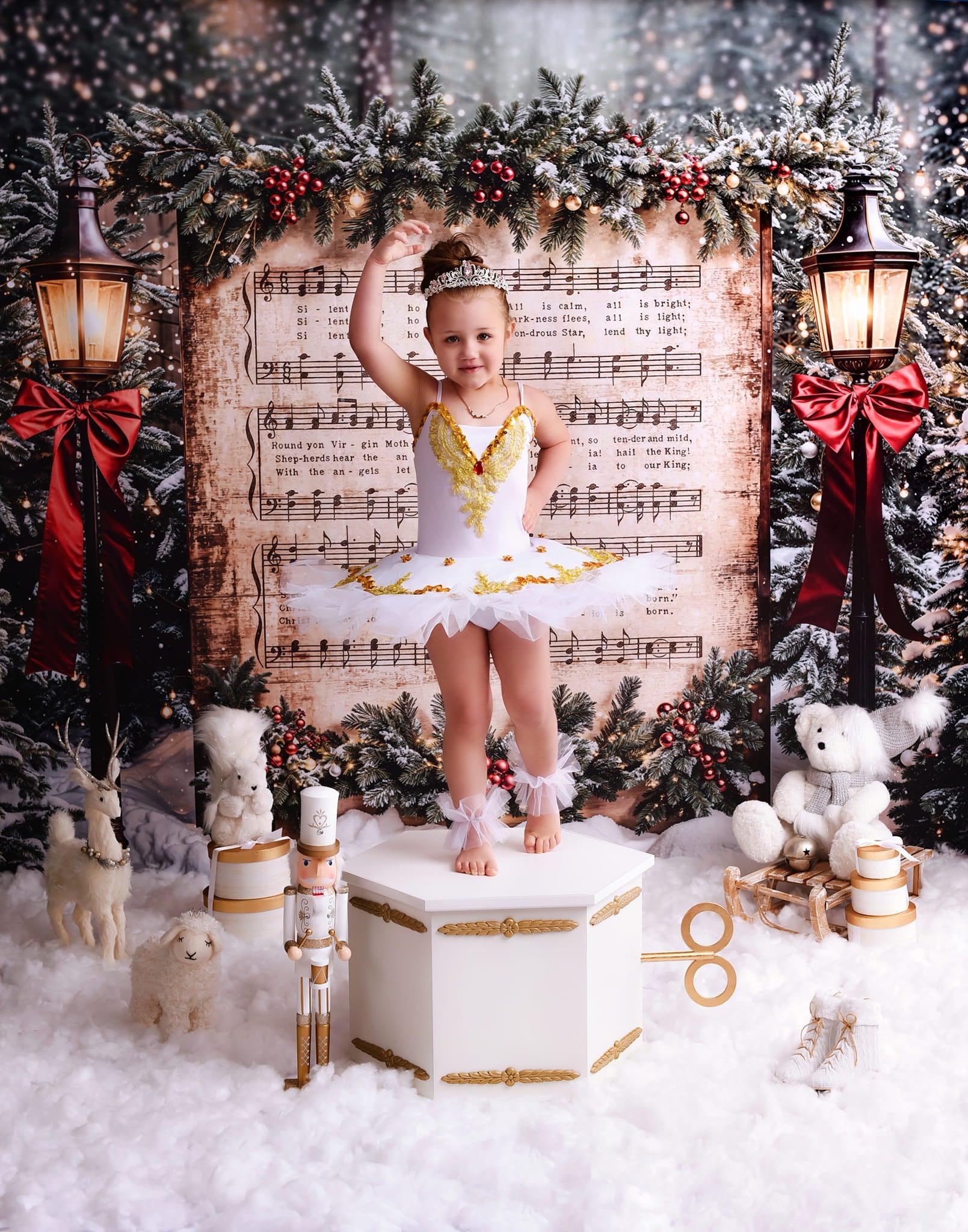 Joy To The World-Fotohintergrund Verschneite Weihnachtslieder Musik Weihnachts-Fotohintergrund MRR9-24