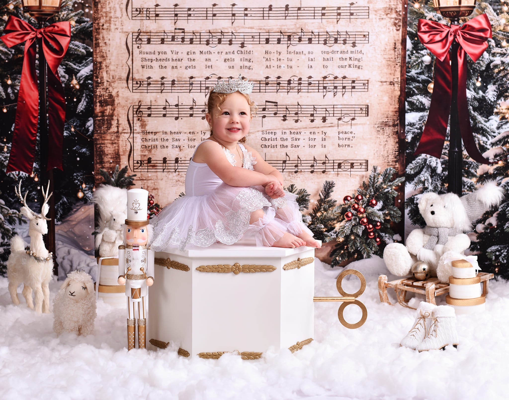 Joy To The World-Fotohintergrund Verschneite Weihnachtslieder Musik Weihnachts-Fotohintergrund MRR9-24