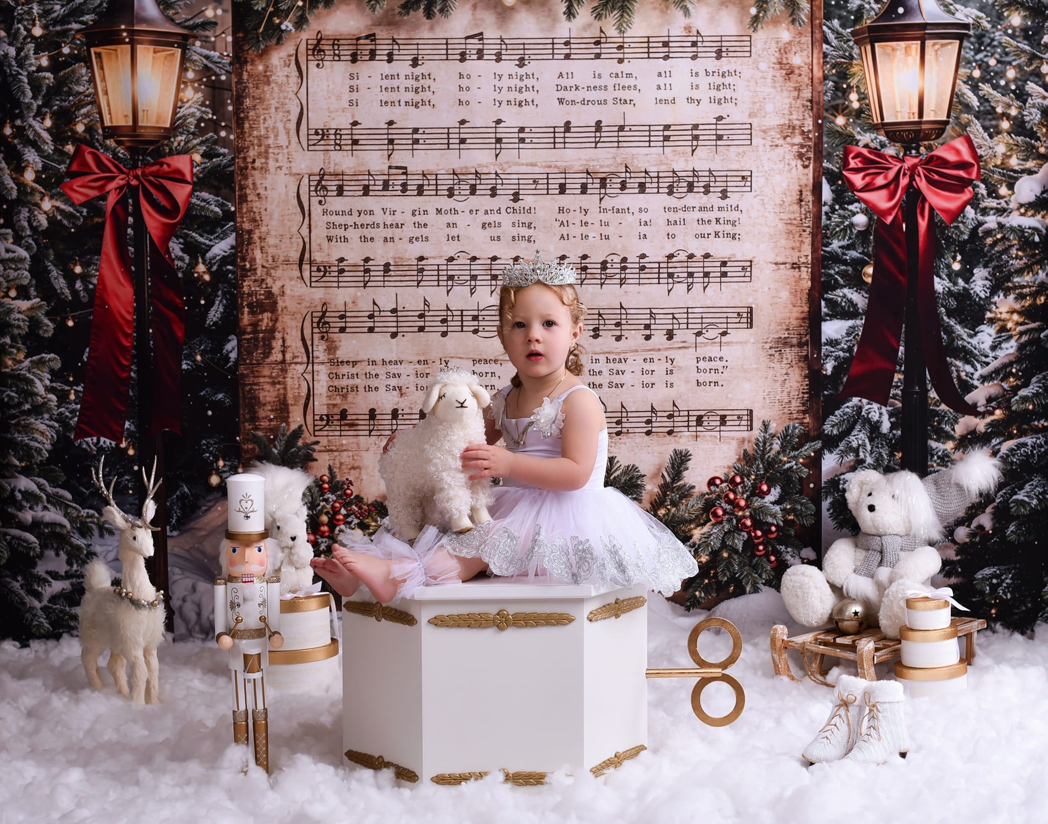 Joy To The World-Fotohintergrund Verschneite Weihnachtslieder Musik Weihnachts-Fotohintergrund MRR9-24