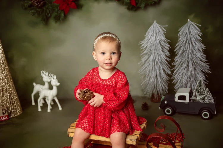 Vintage-Fotohintergrund Weihnachtsgirlande Tannenzapfen Vintage-Foto-Fotohintergrund MRR9-33