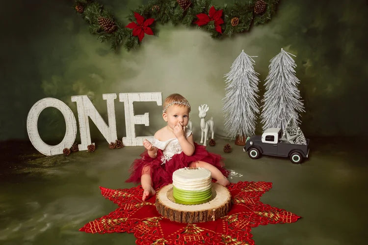 Vintage-Fotohintergrund Weihnachtsgirlande Tannenzapfen Vintage-Foto-Fotohintergrund MRR9-33
