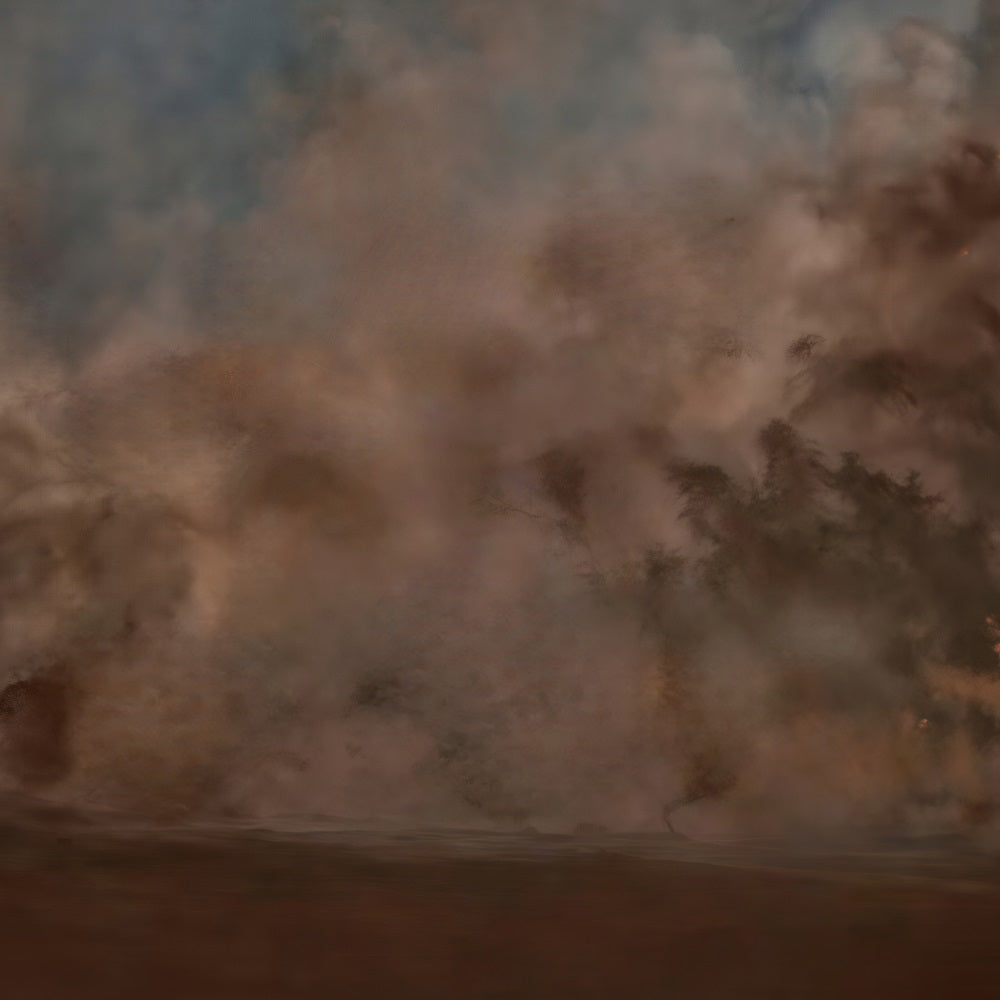 Gemälde-Fotohintergrund Stimmungsvoller brauner Nebel Abstrakter Dunst Kunst-Fotohintergrund MRR9-65