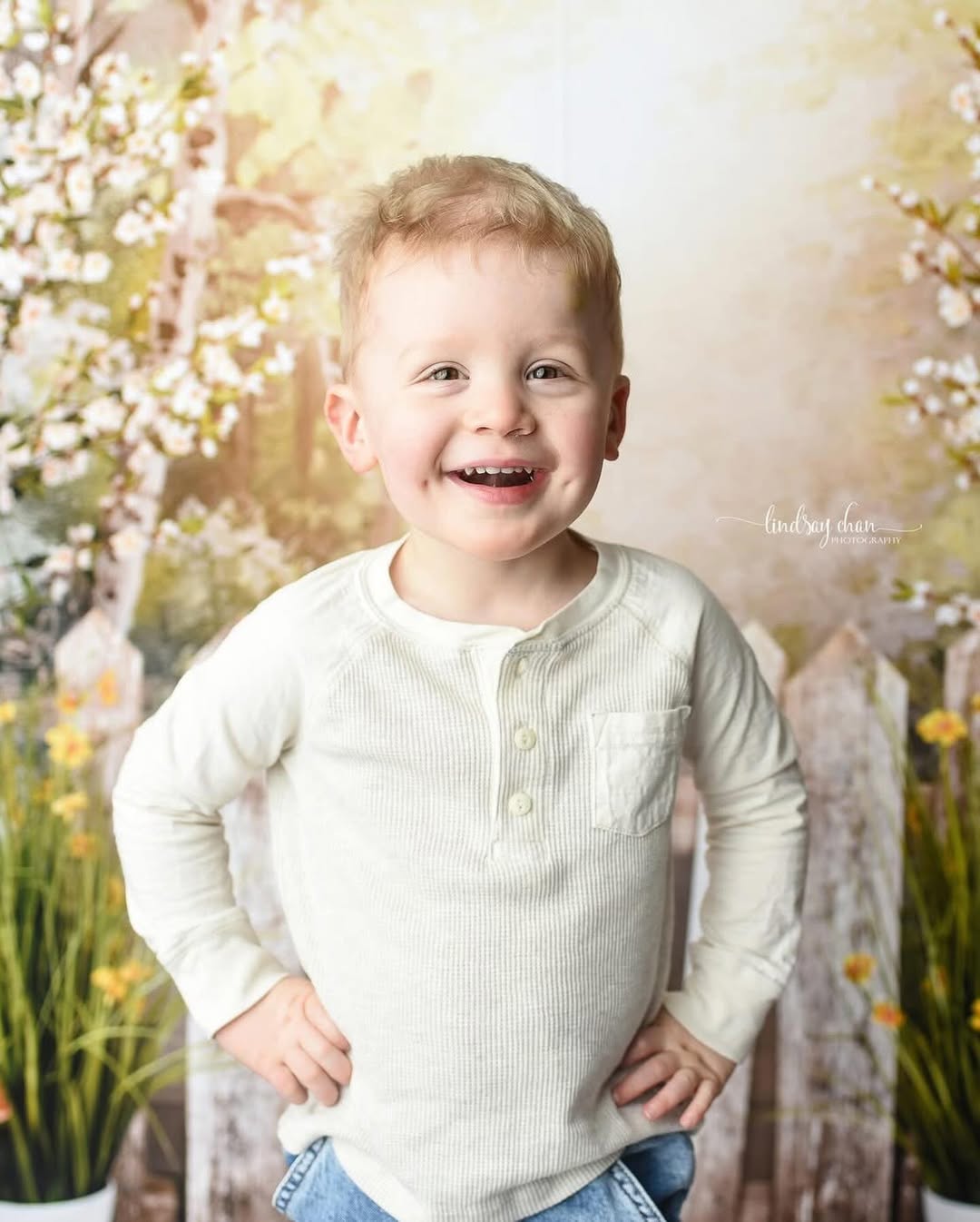 Kunstvolle Hintergründe Frühlingsgarten Zaun Blumen LKW Künstlerischer Fotohintergrund MRR9-34