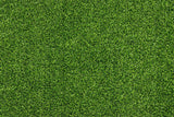 Frühlingsgrünes Gras Gummibodenmatte für die Fotografie RM12-53
