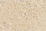 Strand mit Muscheln und kleinen Kieselsteinen Gummibodenmatte für die Fotografie RM12-67