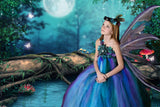 Dreamy Night Forest Vollmond Schmetterling Pilz Hintergrund RR3-10