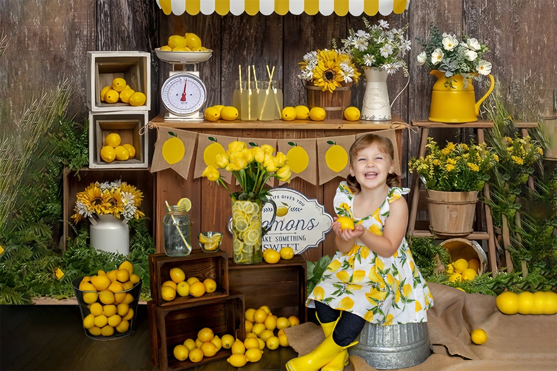 Sommerpromenade Zitrone Verkauf Stand Thema Hintergrund RR3-24