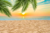 DBackdrop Summer Seaside Beach Kokosnussbaum Sonnenuntergang Hintergrund RR3-42