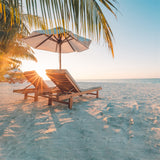 DBackdrop Sommer Seaside Fine Soft Beach Coconut Tree Chaise Lounge Hintergrund RR3-43