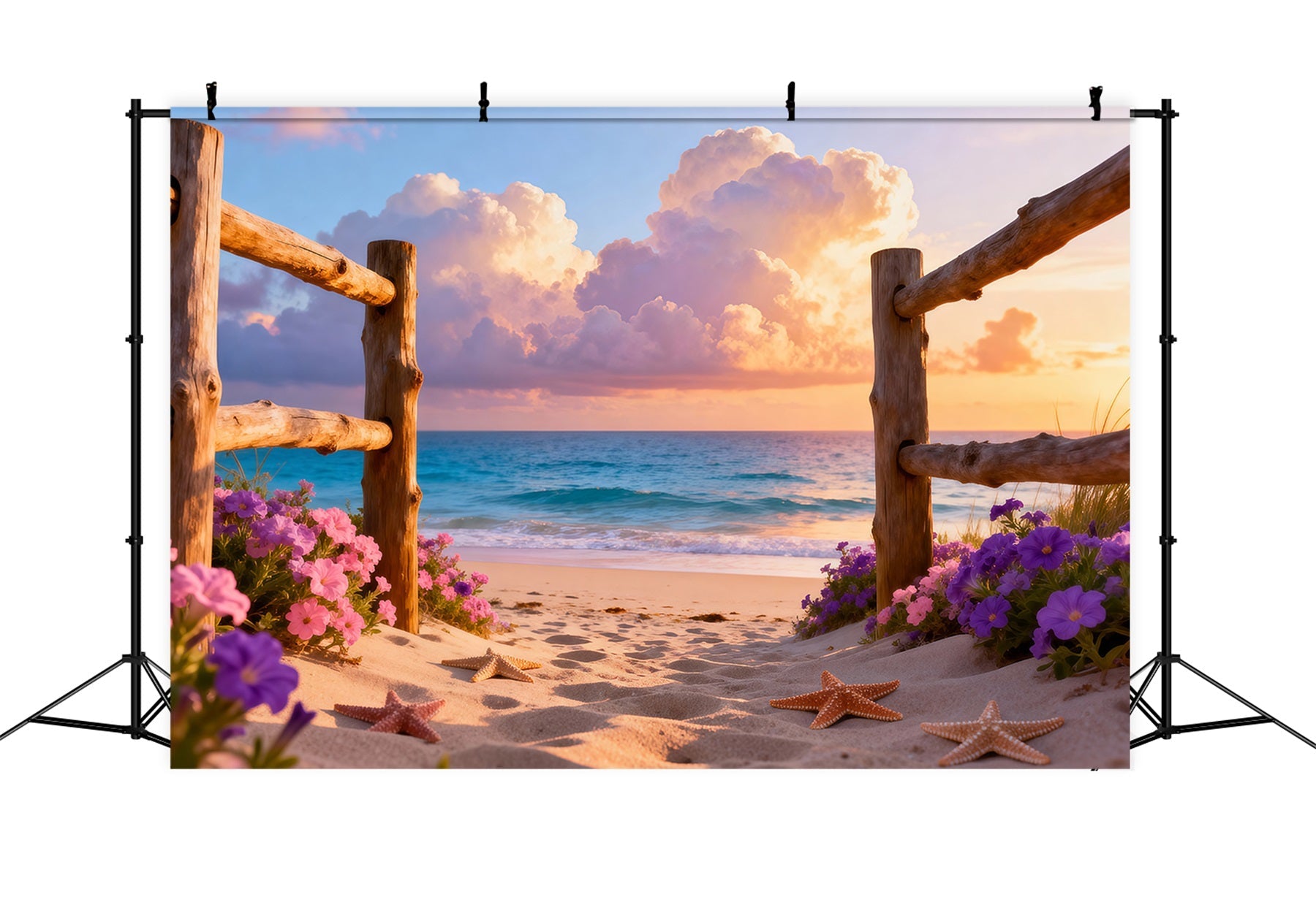 Strand-Fotografie-Hintergrund Holzzaun Seestern-Pfad Sommer-Hintergrund RR61-10