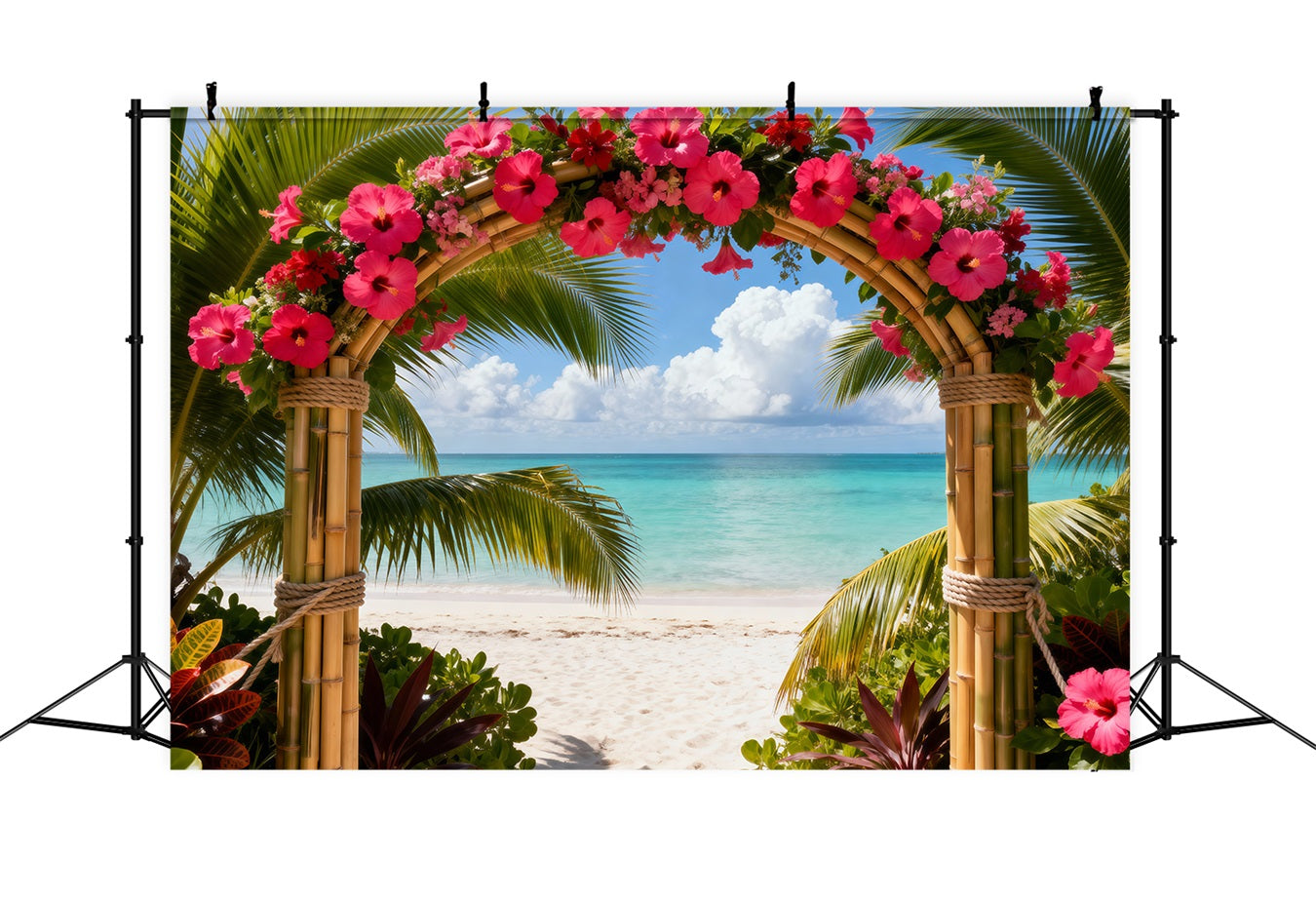 Hintergrund für Strandfotos Tropischer Hibiskusblütenbogen Sommer-Hintergründe für Fotos RR61-28