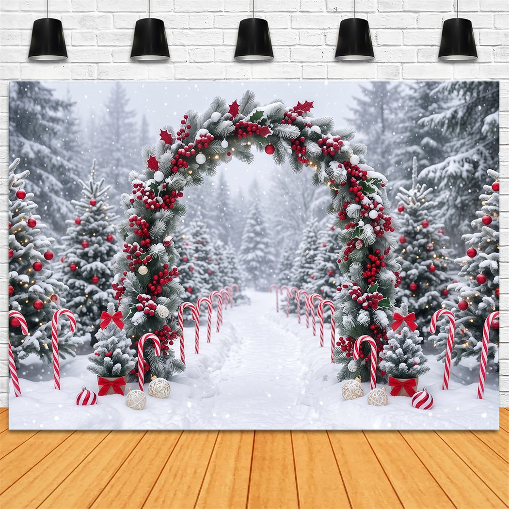 Weihnachtlicher Fotohintergrund Verschneiter Beeren-Girlandenbogen RR610-125