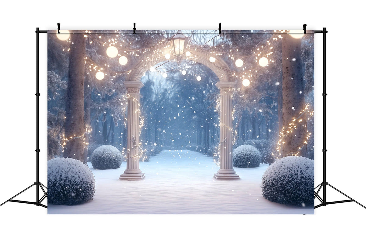 Weihnachtswald-Hintergrund Verschneiter Beleuchteter Gartenbogen RR610-127