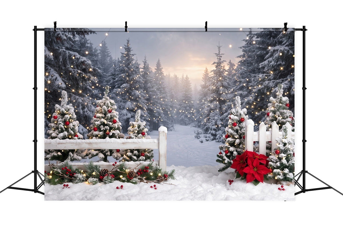 Weihnachtswald Hintergrund Verschneiter Zaun Weihnachtsstern Weg RR610-150