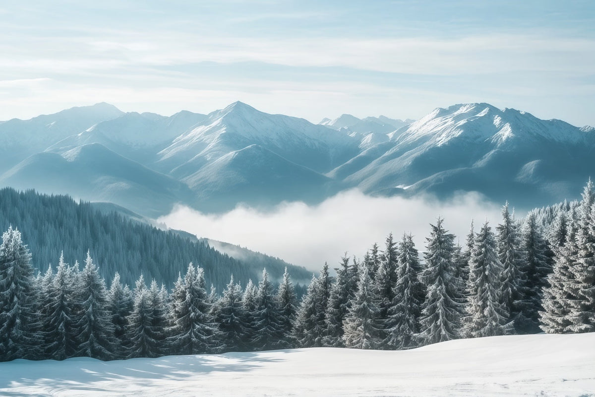 Winterwunderland Weihnachtshintergrund Verschneiter Bergnebel Wald RR610-159