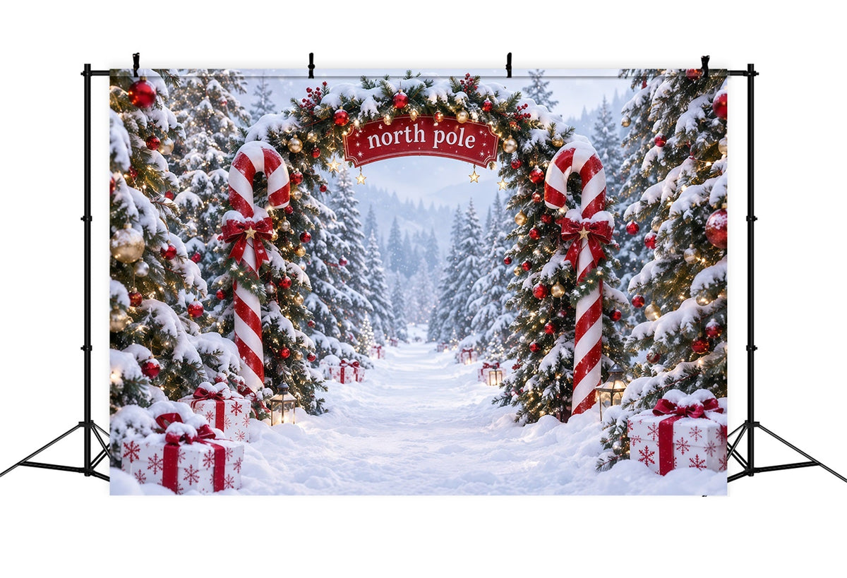 Nordpol Fotohintergrund Zuckerstangen Nordpol Winterlandschaft RR610-173