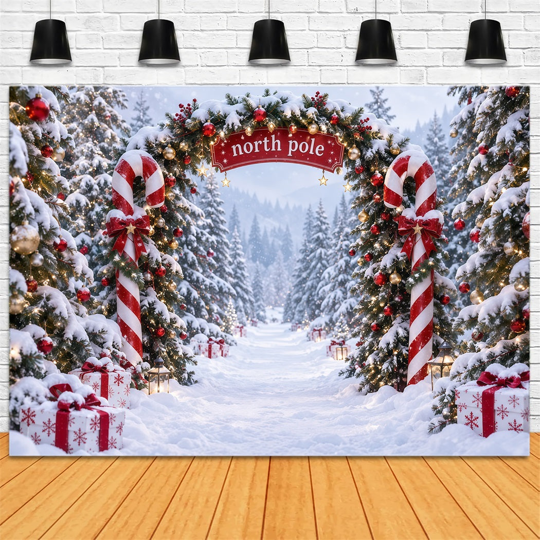 Nordpol Fotohintergrund Zuckerstangen Nordpol Winterlandschaft RR610-173