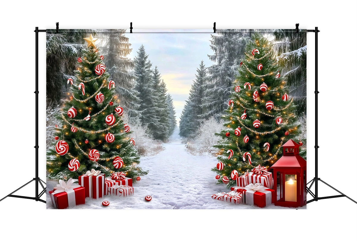 Klassischer Weihnachtshintergrund Zuckerstangen-Waldweg RR610-50
