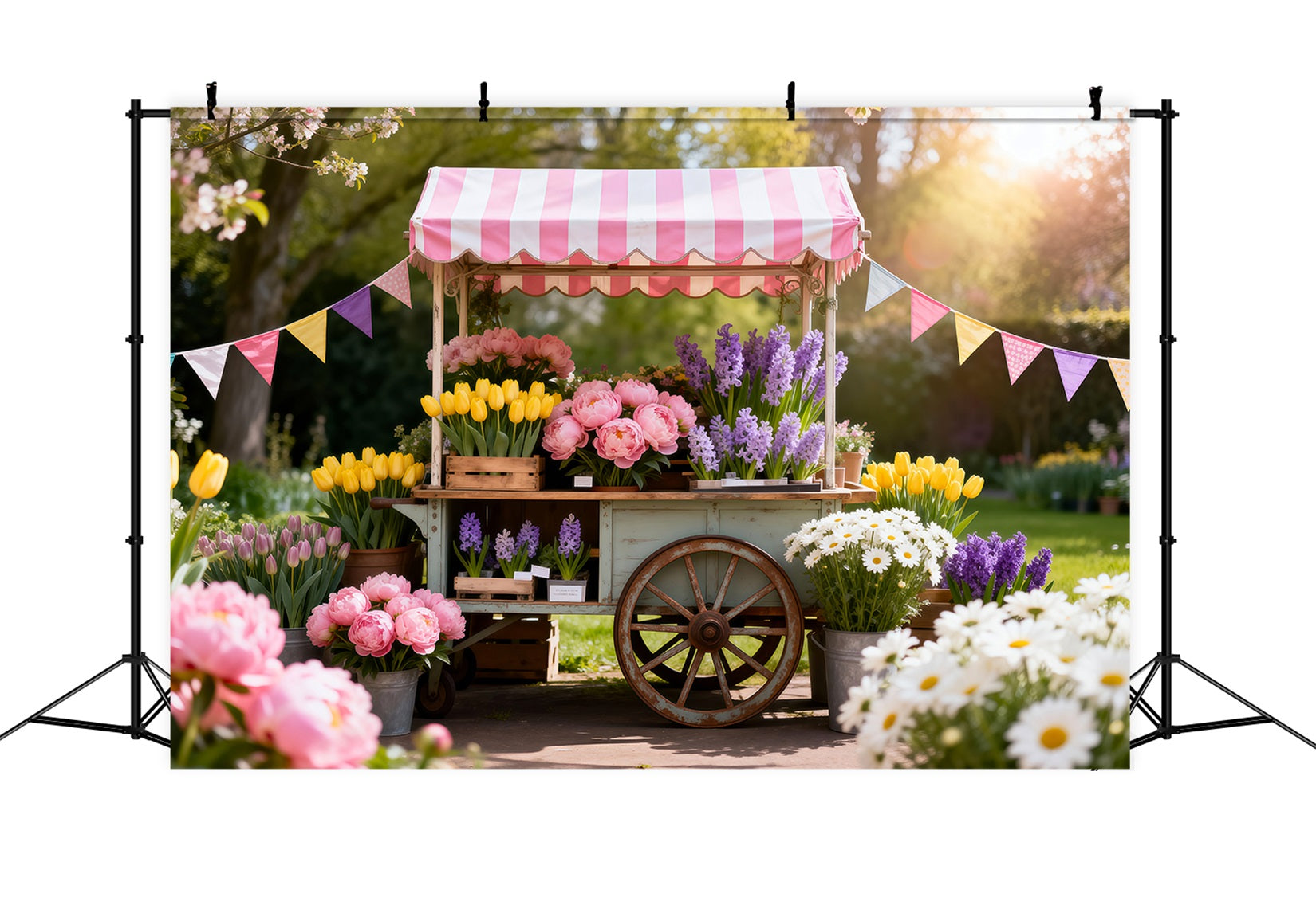 Gänseblümchen-Blumen-Hintergrund Frühlingsblumenmarkt-Karren Frühlings-Foto-Hintergrund-Ideen RR62-32