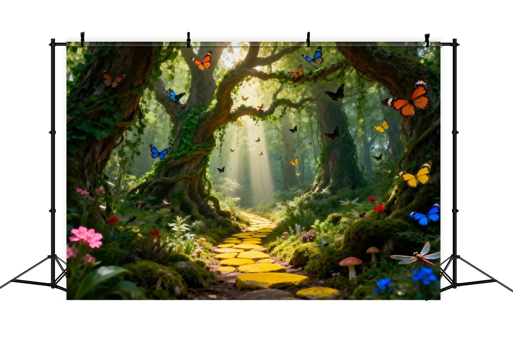 Waldgrüner Hintergrund, goldener Pfad, Sonnenlicht, Schmetterlinge, Fotohintergründe Wald RR63-133