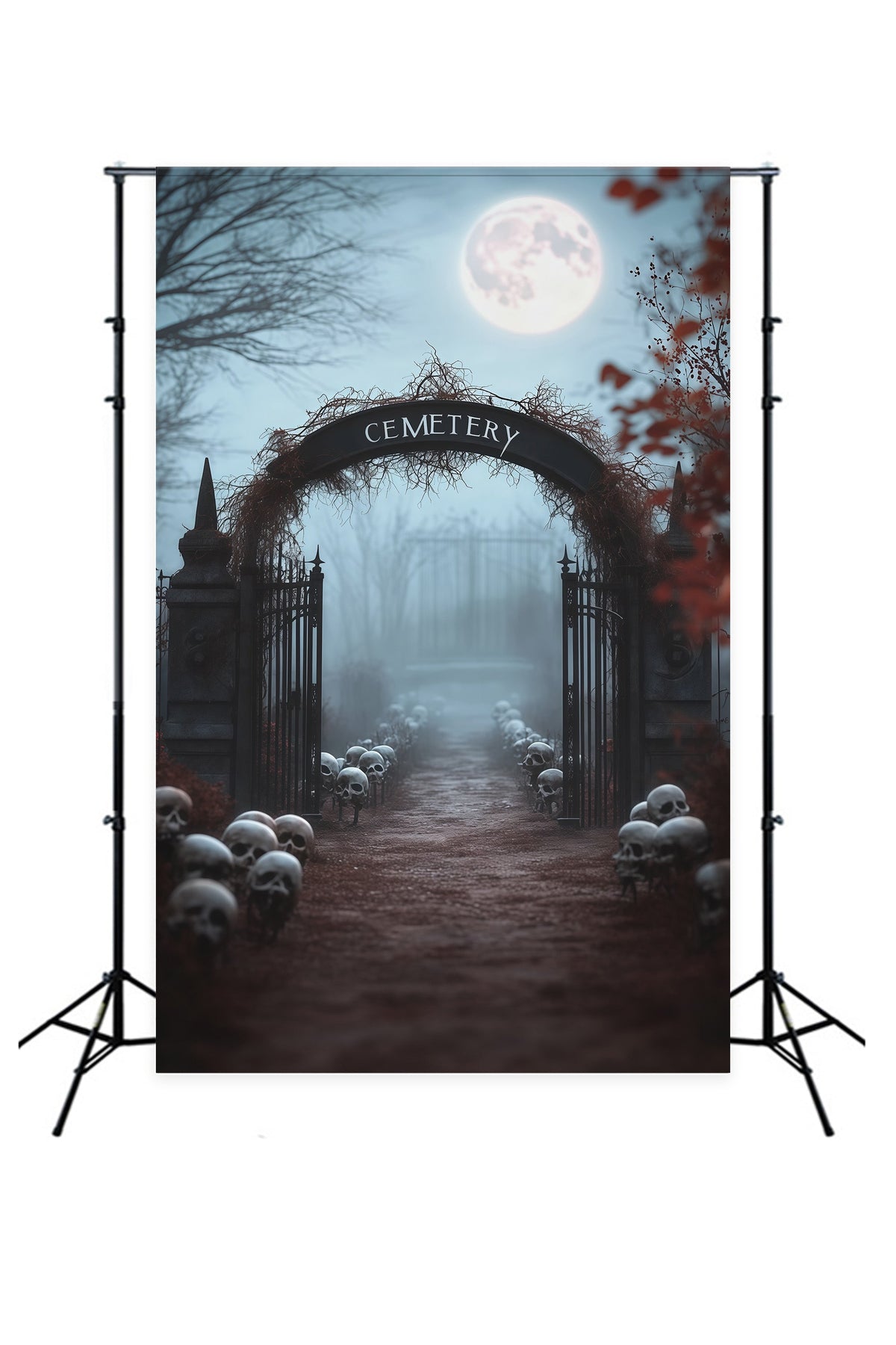 Halloween-Fotohintergrund Im FreienNebeliger Totenkopf Am Friedhofseingang RR67-160
