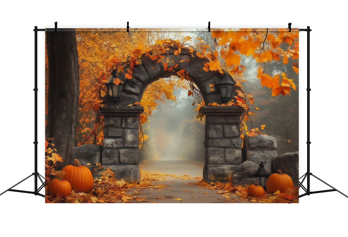Herbstliche Kulisse Mit Kürbissen Und Blättern Steintor-Fotografie-Hintergründe Halloween RR67-200