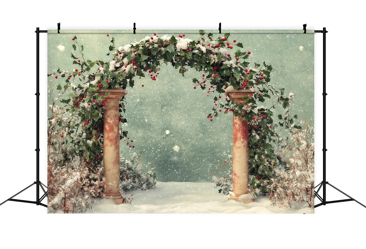 Verschneite Weihnachtskulisse Winterlicher Schnee-Stechpalmenbogen Weihnachtshintergrund RR68-65