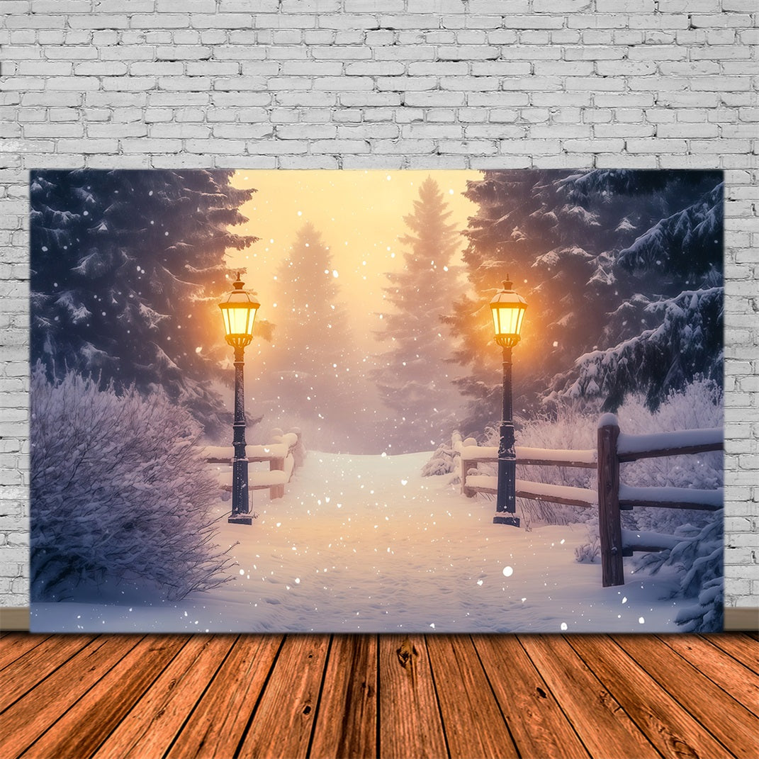 Verschneite Weihnachtskulisse Laternenpfad Im Wunderlandwald Weihnachts-Studiohintergründe RR68-85
