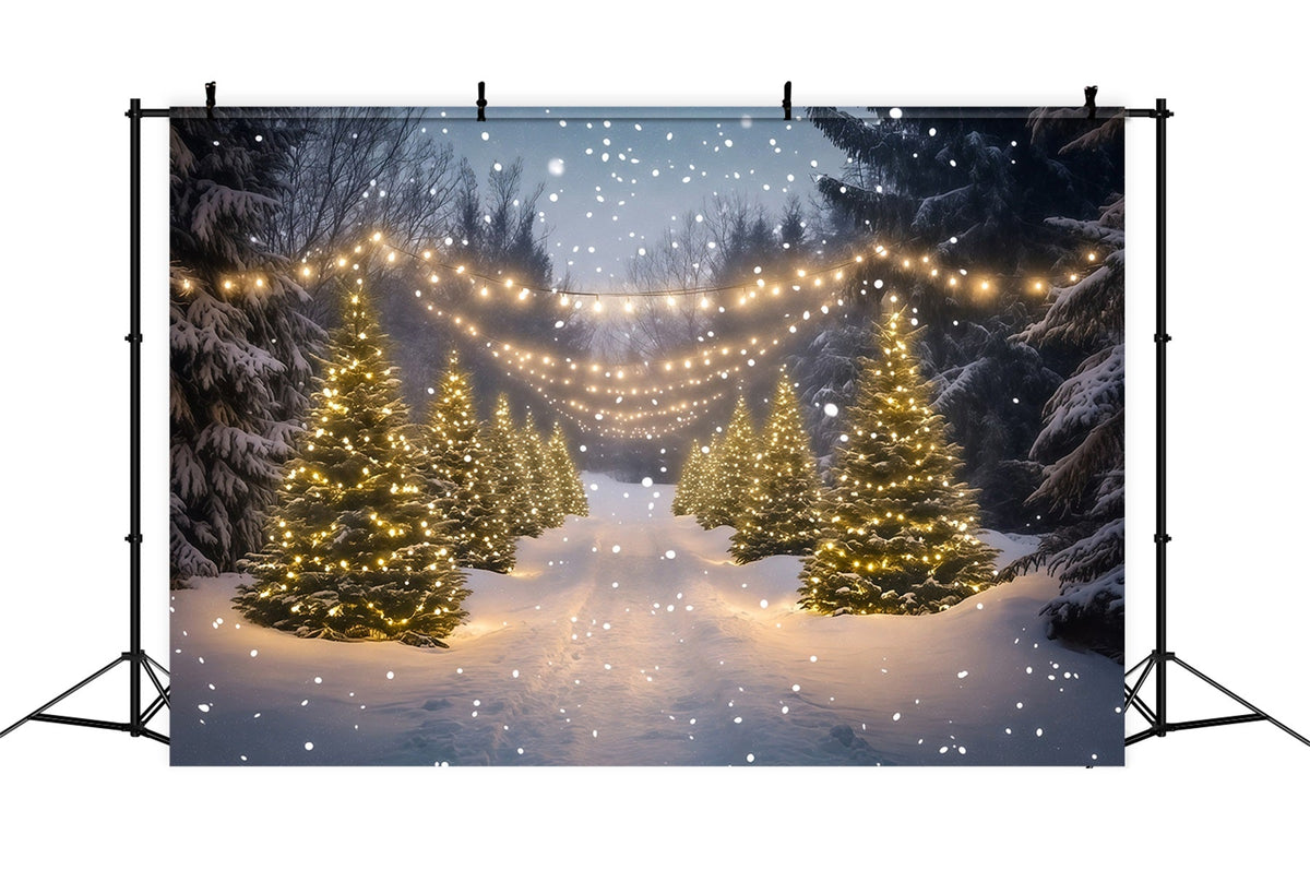 Weihnachtswunderland-Kulisse Lichtpfad Im Verschneiten Wald Weihnachtshintergründe Für Den Innenbereich RR68-91