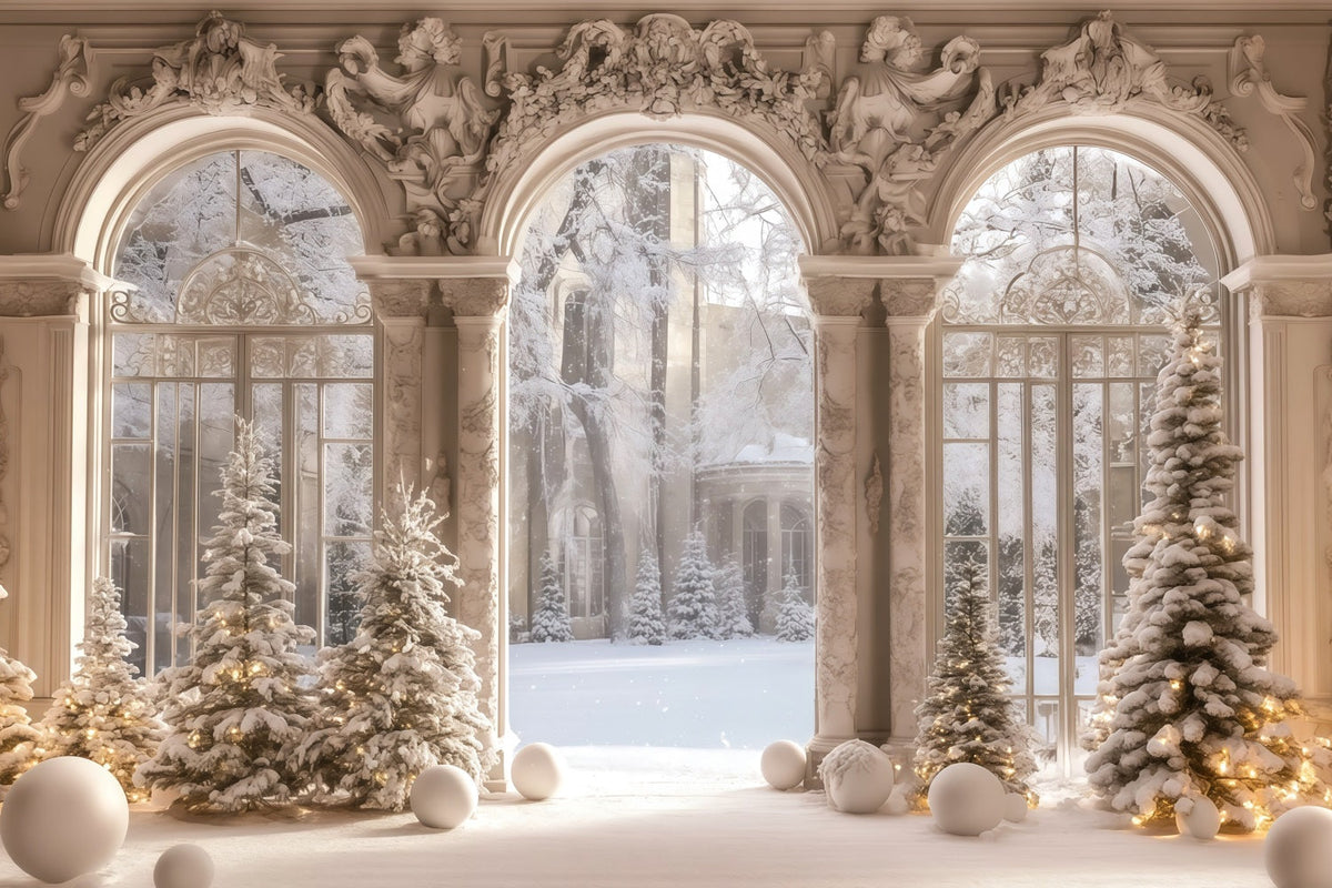 Viktorianische Weihnachtskulisse Blick Aus Dem Verschneiten Palastfenster Musselin-Hintergrund Weihnachten RR68-95