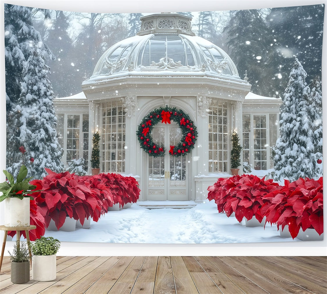 Verschneite Weihnachtskulisse Weihnachtssterngarten Im Wintergarten Weihnachtshintergrund Für Fotografie RR69-12