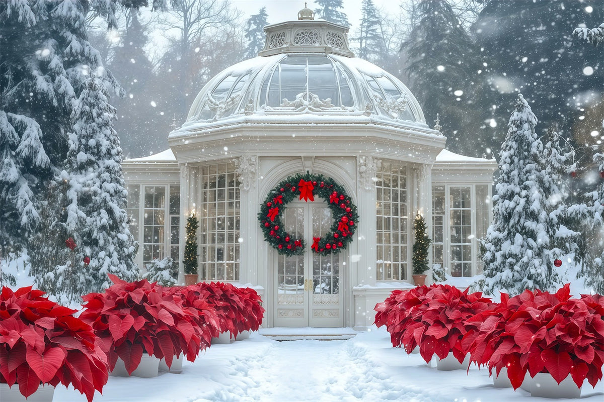 Verschneite Weihnachtskulisse Weihnachtssterngarten Im Wintergarten Weihnachtshintergrund Für Fotografie RR69-12