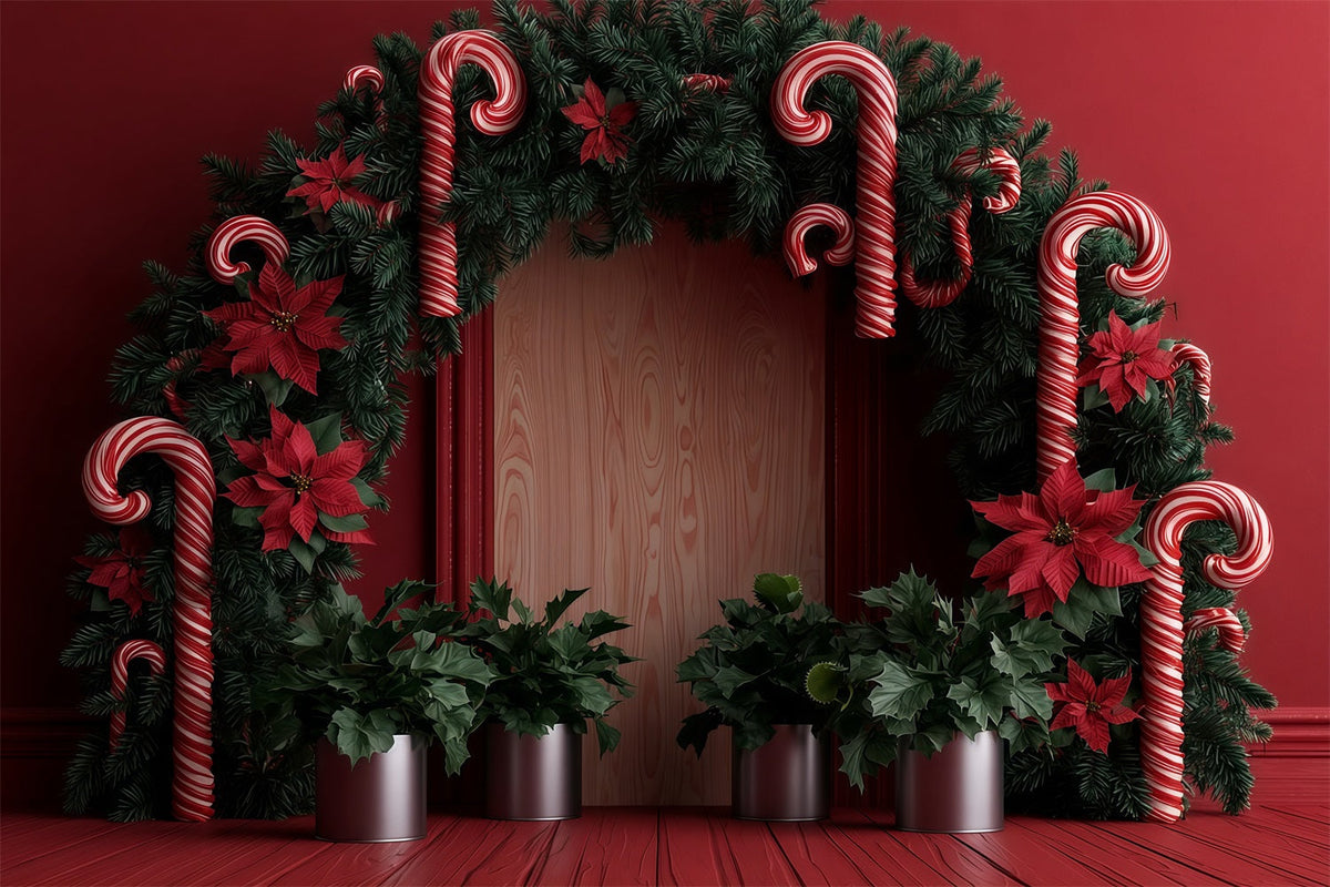 Weihnachtshintergrund Mit Zuckerstangenmotiv Weihnachtsstern-Girlandenbogen Weihnachts-Studiohintergründe RR69-79