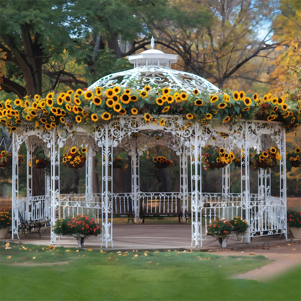 Sonnenblumengeschmückte Gartenlaube im herbstlichen Park RR7-294