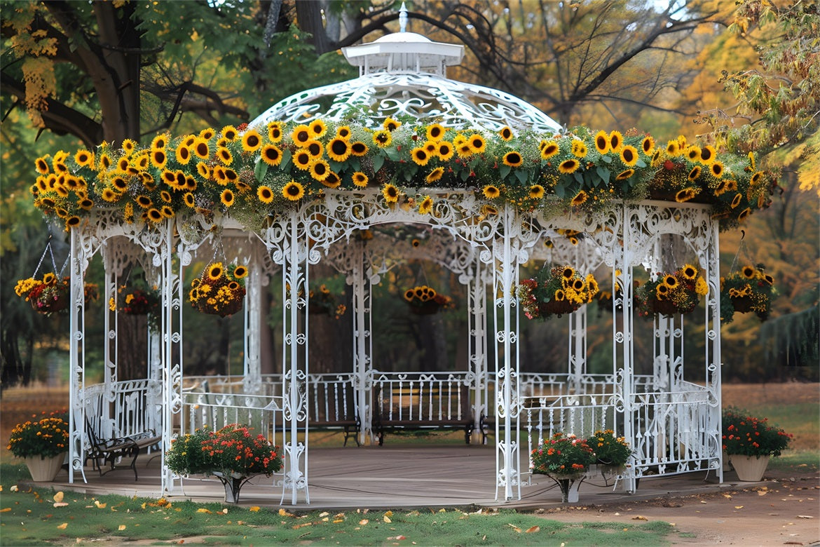 Sonnenblumengeschmückte Gartenlaube im herbstlichen Park RR7-294