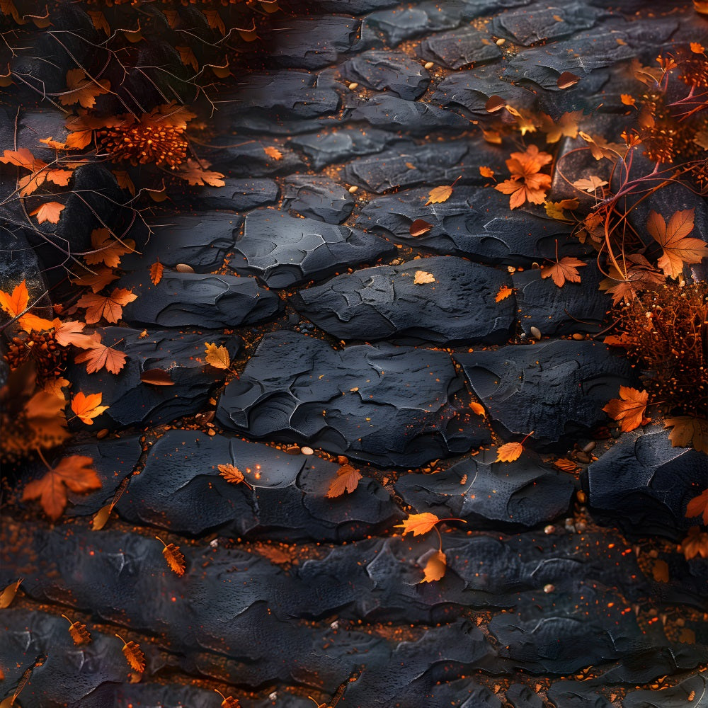 Maple Leaf Black Slate Path Floor Backdrop RR7-534