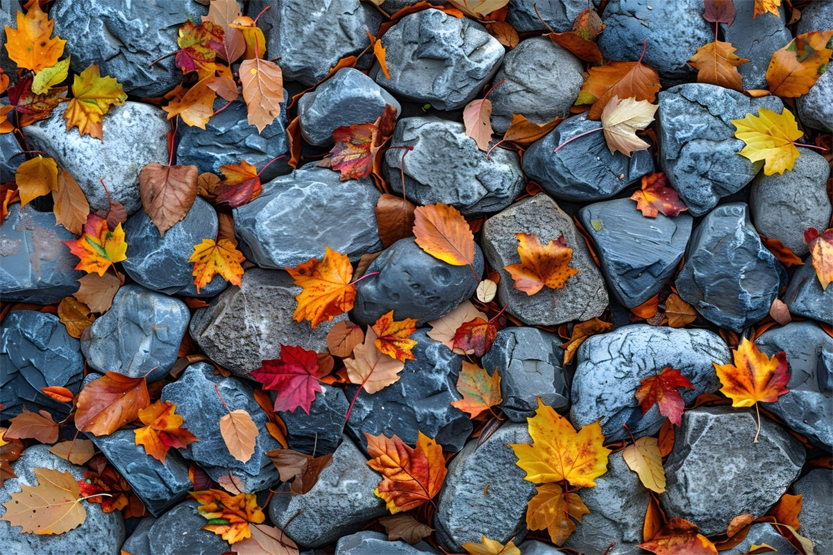 Maple Leaves Light Stones Bodenhintergrund RR7-535