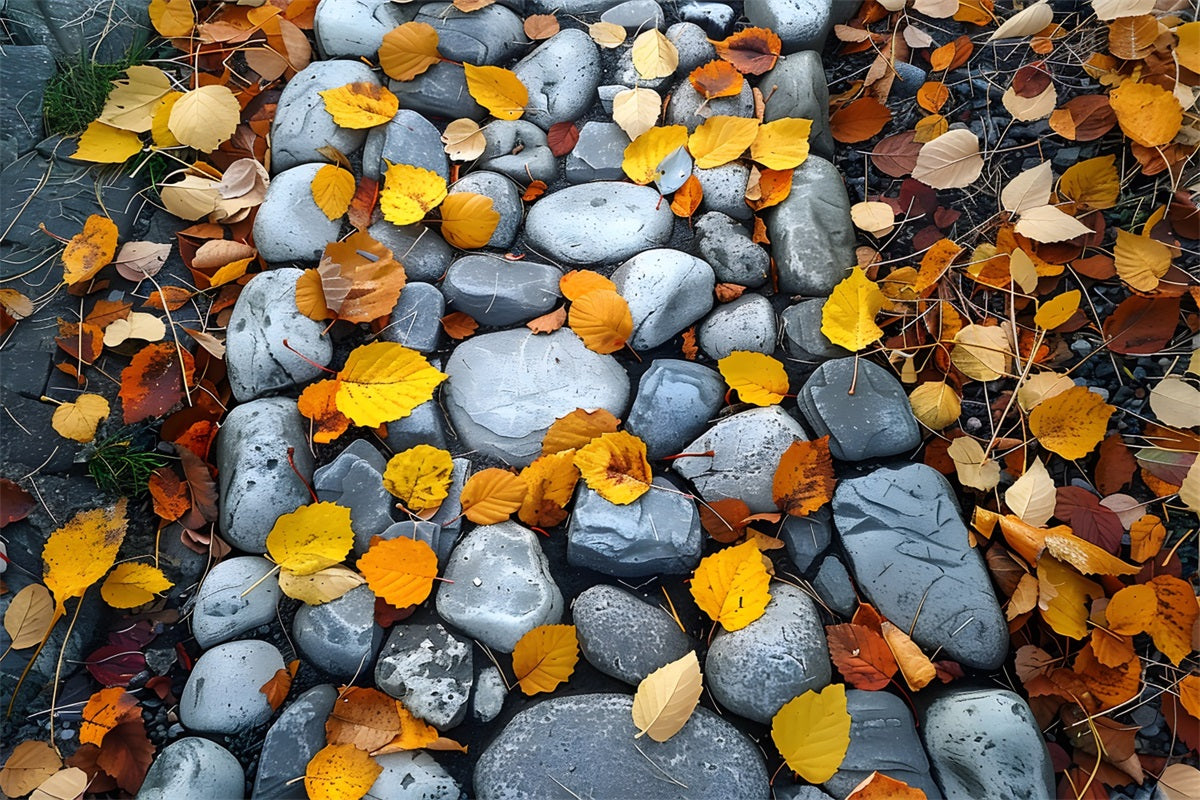 Withered Leaves Cobblestone Trail Bodenhintergrund RR7-536