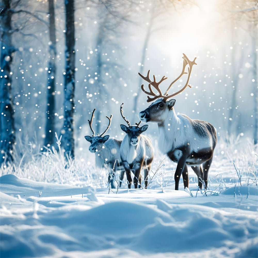 Weihnachten Rentier Winter verschneiten Wald Hintergrund RR7-773