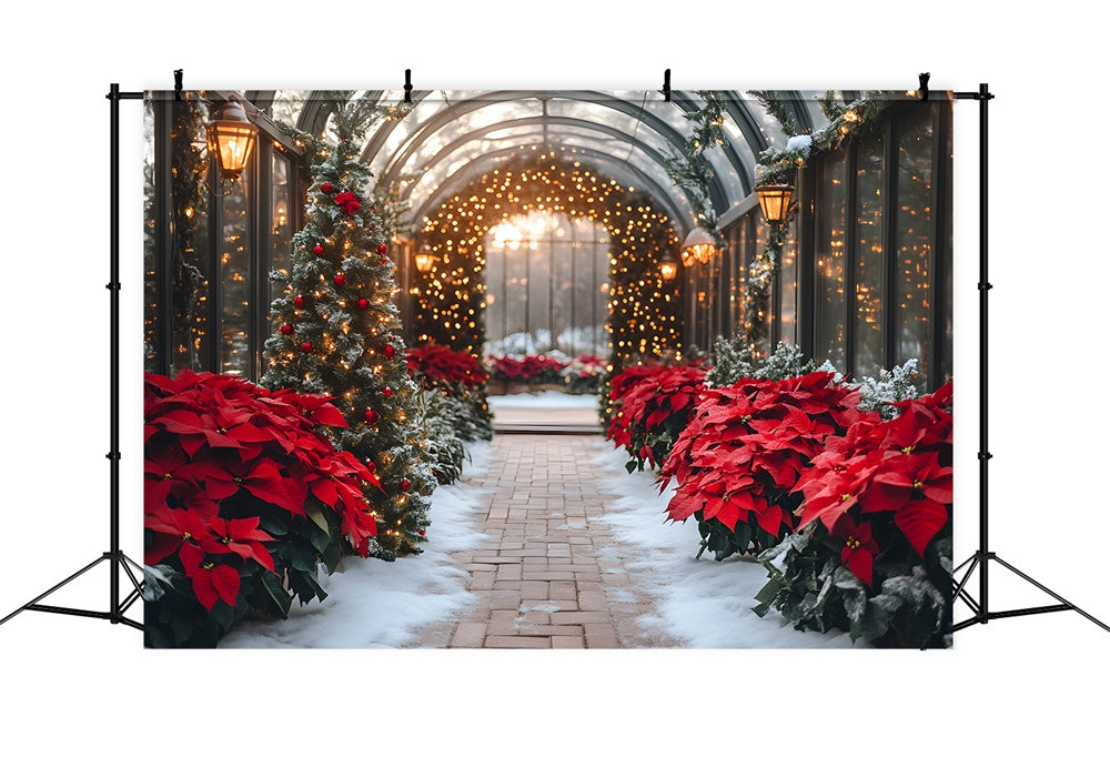 Weihnachtsstern Glühende Girlande Hintergrund RR8-355