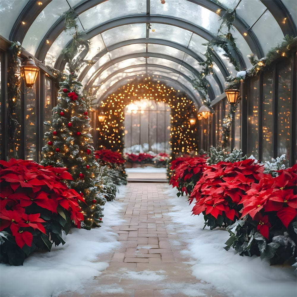 Weihnachtsstern Glühende Girlande Hintergrund RR8-355