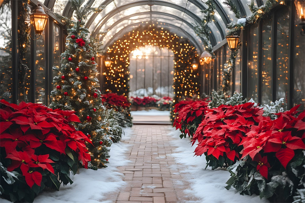 Weihnachtsstern Glühende Girlande Hintergrund RR8-355