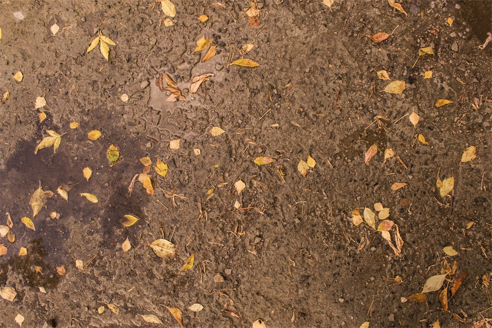 Verwelkte gelbe Blätter Schlamm Bodenhintergrund RR8-586