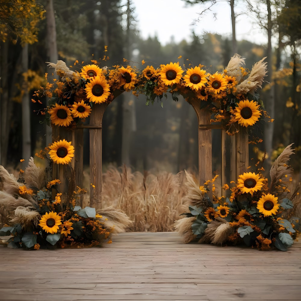 Sonnenblumen Bogen Tür Herbst Fotografie Hintergrund RR9-28
