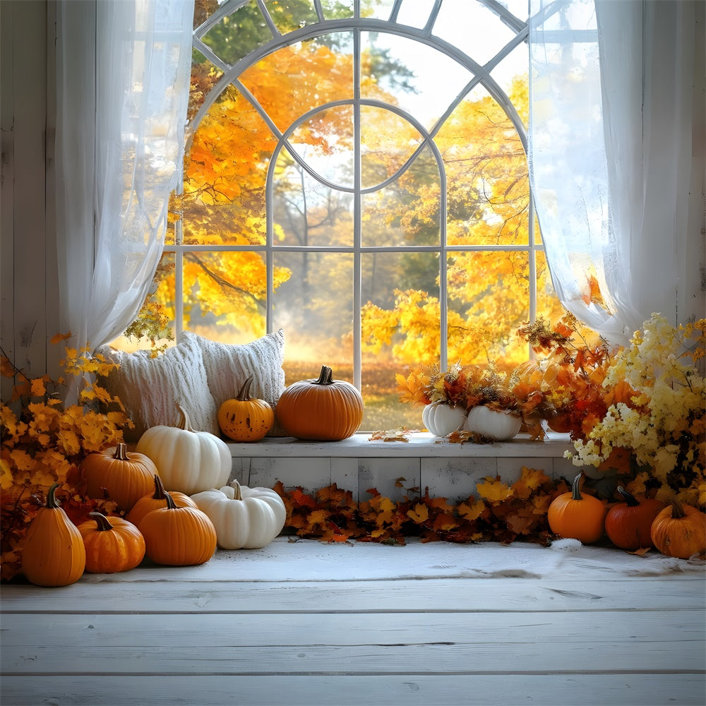 Herbst Kürbisse Fenster Ahornbäume Ansicht Backdrop RR9-4