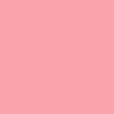 Einfarbige Porträtfotografie Hintergrund Baby Pink Foto Hintergrund SC6（NUR 1）